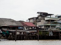 DSC 1457  Habitat le long de la rivière