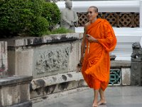 DSC 0932  Un jeune moine visitant Wat Sutha