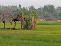 Abri de repos des ouvriers agricoles