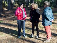 Aux champignons  Colette : si Jean-Jacques ne se pointe pas avec le sac, je bazarde ce champignon Françoise : tu oserais? Christine : moi à ta place, je ne m'y risquerais pas