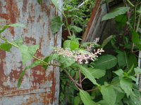 194C9D49-87F0-4762-B7C2-FDC8F2CE1A18