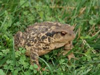 50587FE5-1118-45DB-8760-BE3E54AD735E