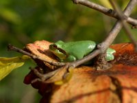 D05FFADC-5F85-4239-A581-D08B0727A677