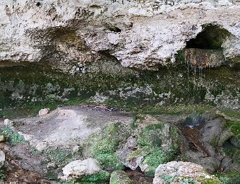 L'abri sous roche et les résurgences  La résurgence est visible sur la gauche de la photo  et l'exutoire sur la partie droite. Le mur situé à gauche permettait de dériver les eaux pour l'irrigation des prairies
