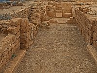 Polythyron et crypte