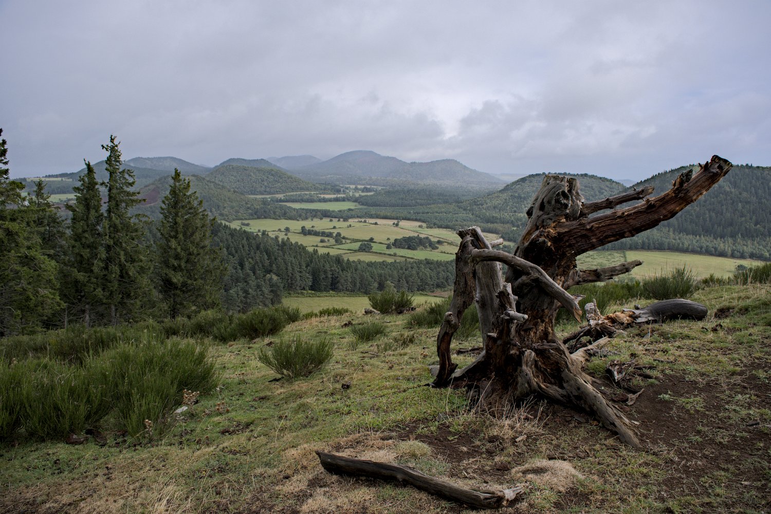 Chaîne des puys depuis la Combegrasse