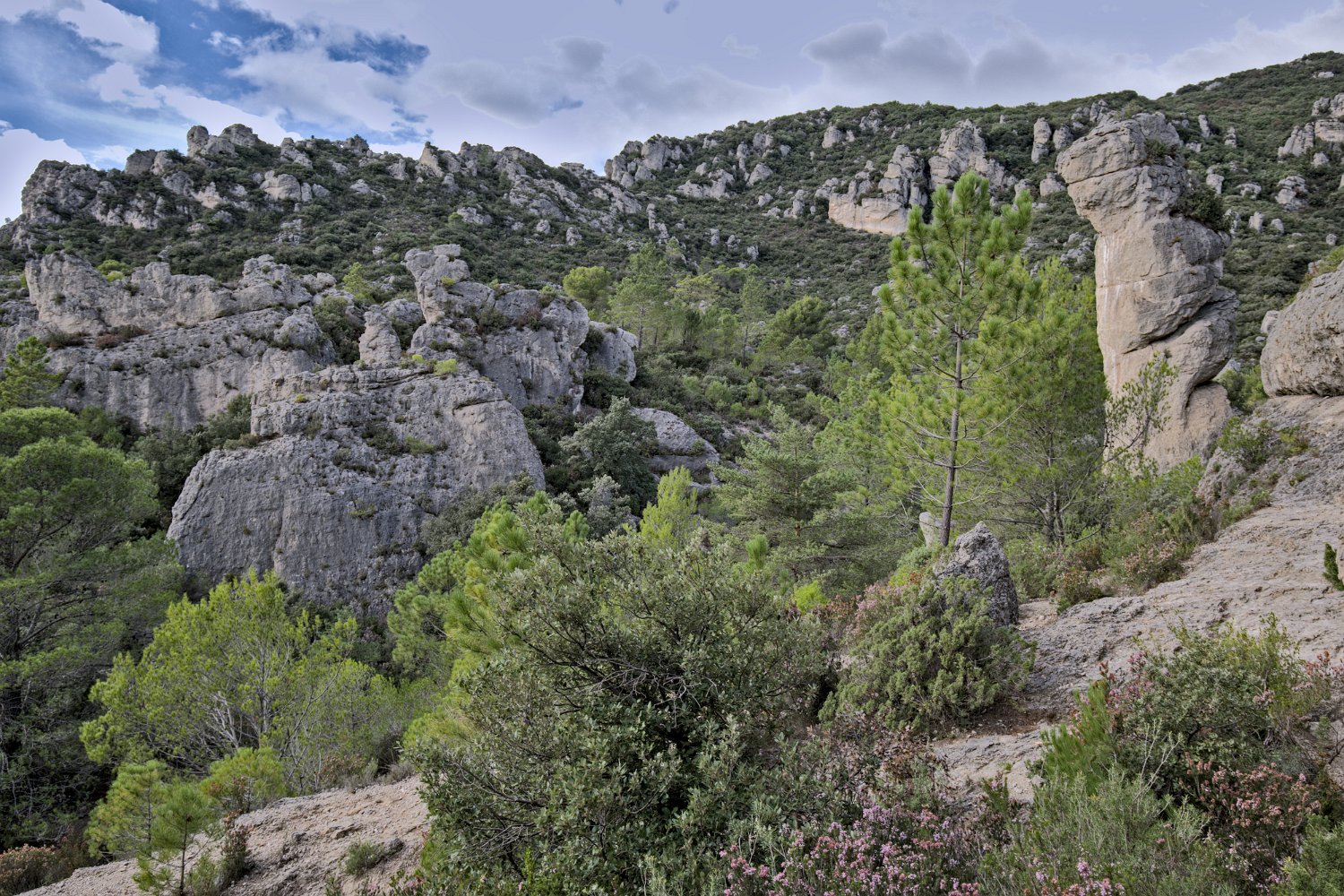 Vue sur les formations rocheuses