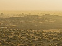 Désert du Thar au petit matin
