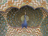 La porte de la mousson, détail  Le Paon est l'emblème de l'Inde
