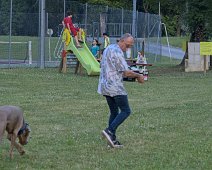 Chien pisteur et gourmand