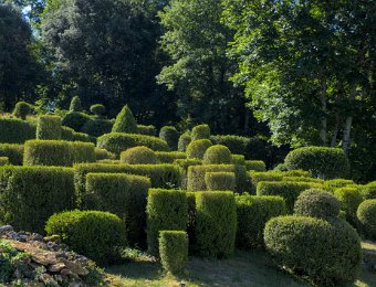 Massifs de buis près du château