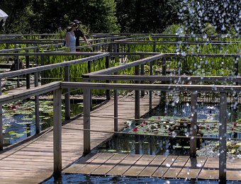 Labyrinthe aquatique