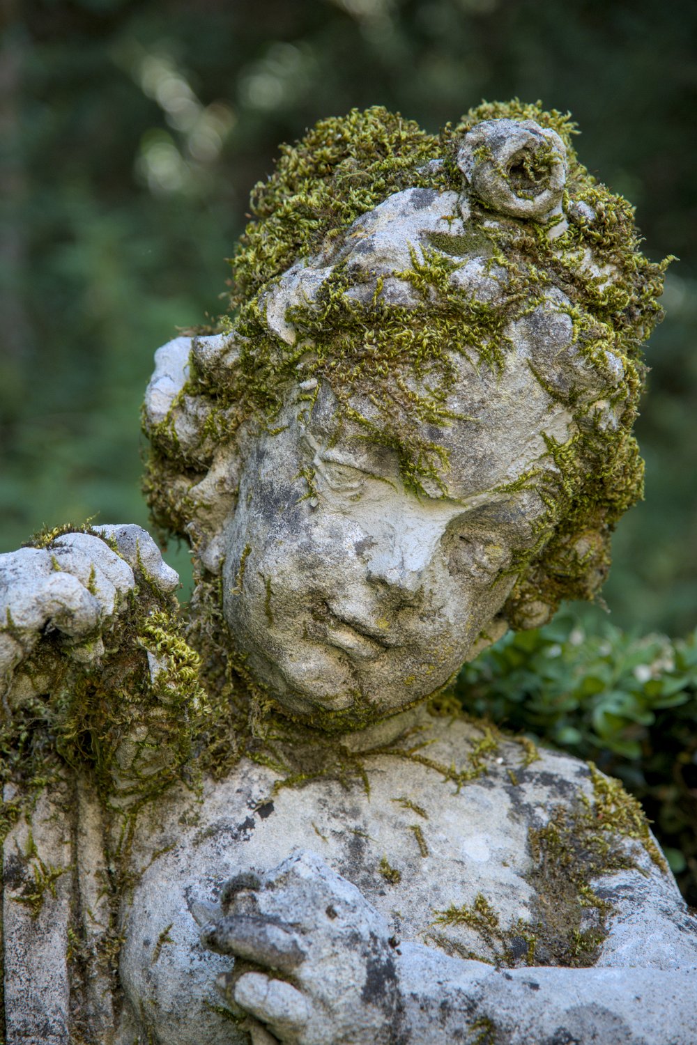 Angelot dans le parc