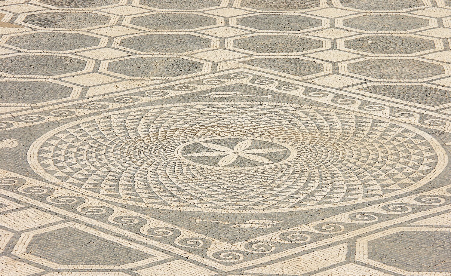 Domus 1 : Mosaïque du secteur nord