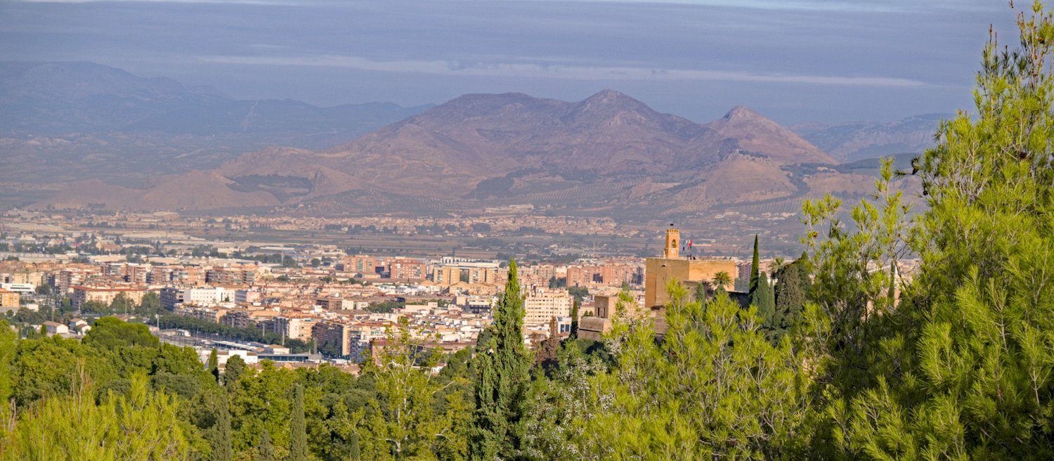 Vue générale sur Grenade