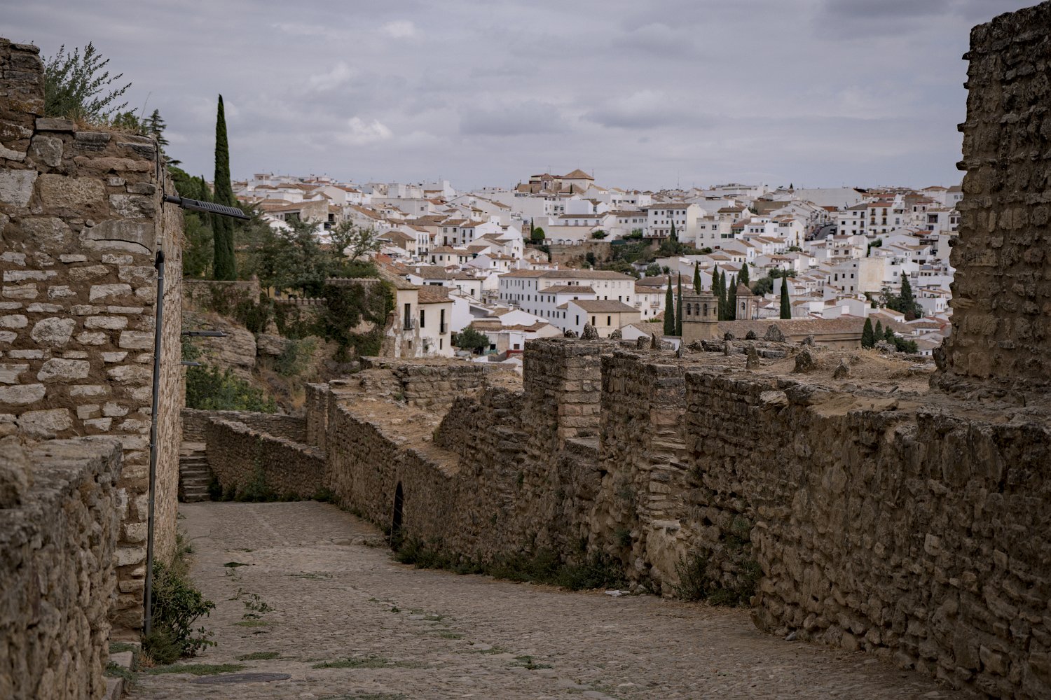 Remparts del Carmen (Murallas del Carmen)