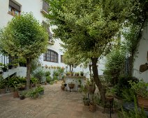 Patio dans une maison particulière