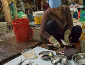 Produits de la mer  au marché de Cat Ba (poissons)