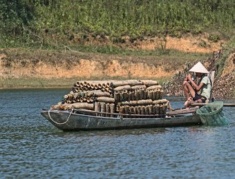Pêcheur de crevette d'eau douce