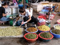 Vers de farine et insectes commestibles divers