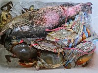 Produits d'origine aquatique