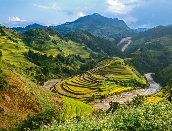  Les terrasses épousent même les reliefs les plus complexes